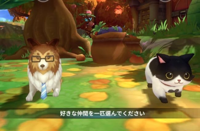 晴空物語 もふもふランドのペット